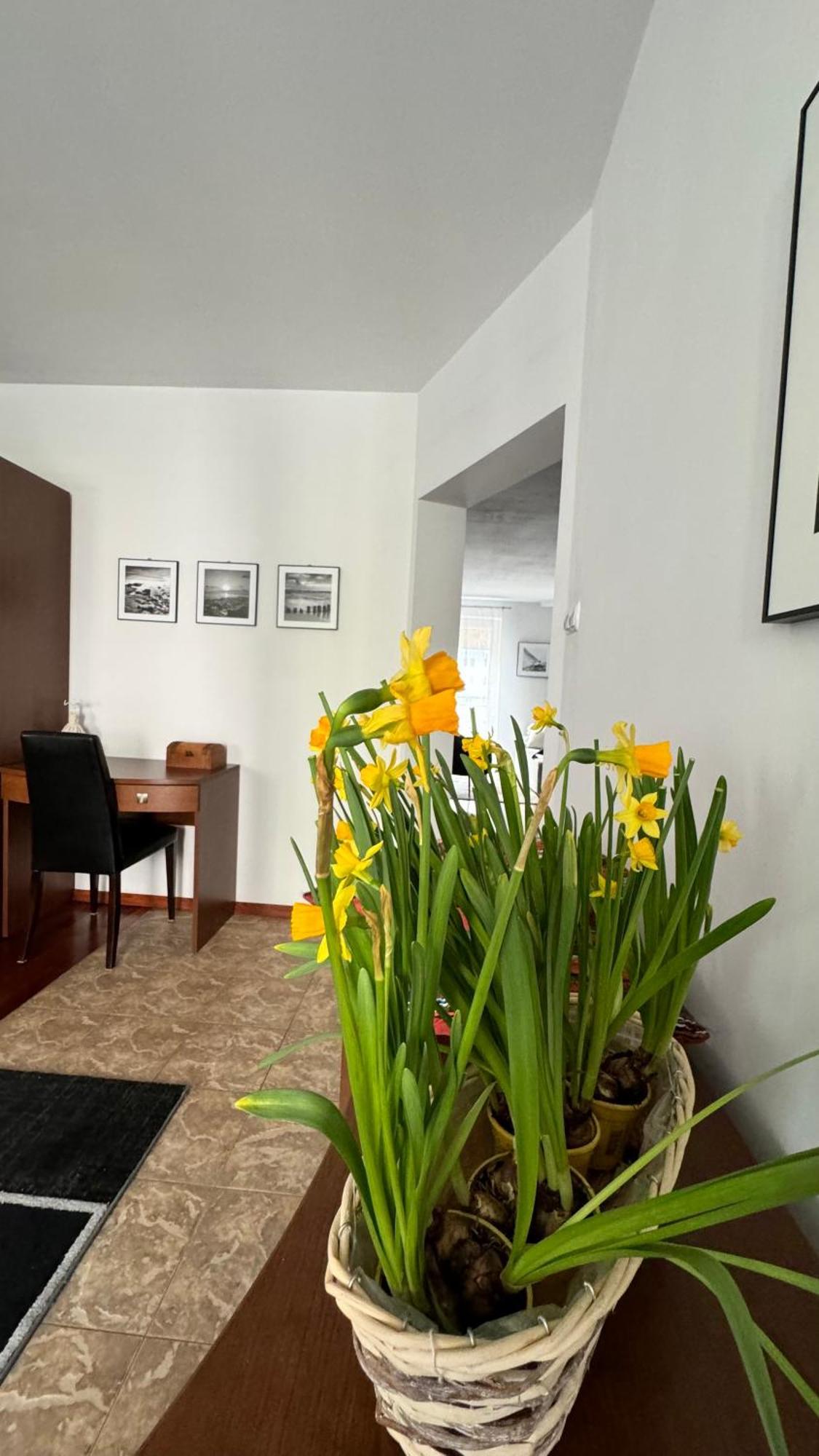 Apartament Rodzinny Kolobrzeg Dış mekan fotoğraf