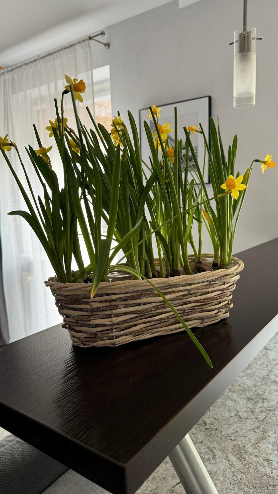 Apartament Rodzinny Kolobrzeg Dış mekan fotoğraf